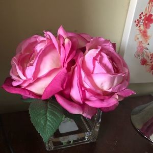 Meet your Posher, Natasha